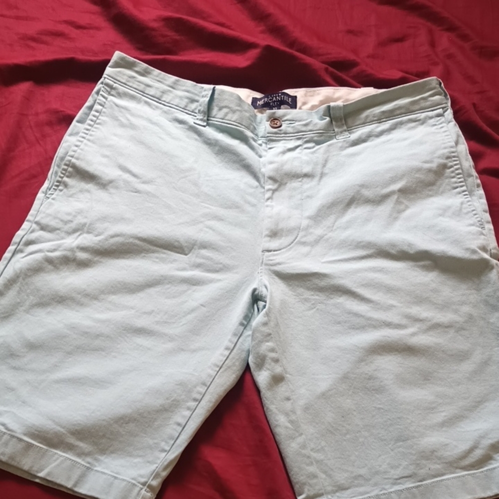 J Crew Light Blue Men's Shorts Spring/Summer 32 Waist Stylish Comfy Casual